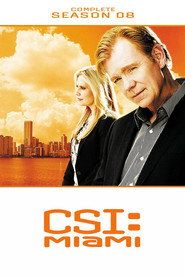 CSI: Kryminalne zagadki Miami Sezon 8 - Vider