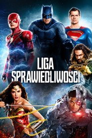 Liga Sprawiedliwości (2017) - Vider