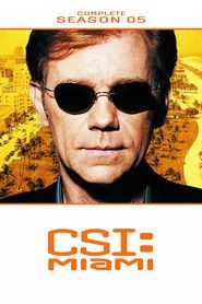 CSI: Kryminalne zagadki Miami Sezon 5 - Vider