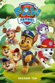 Psi Patrol Sezon 10 - Vider