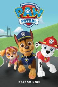 Psi Patrol Sezon 9 - Vider