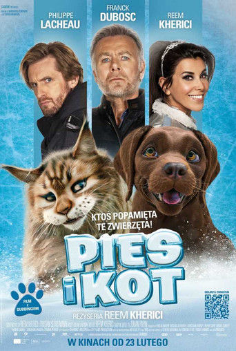 Pies i kot Cały Film • Vider • Online