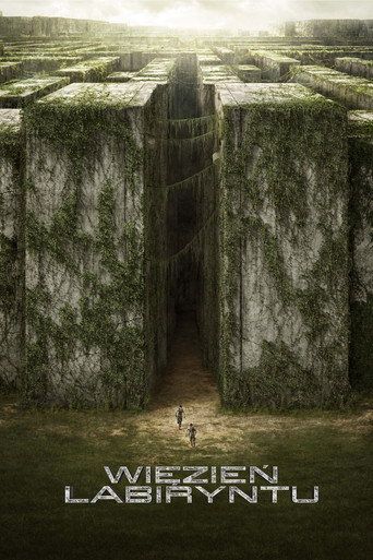 Więzień labiryntu Cały Film • Vider • Online