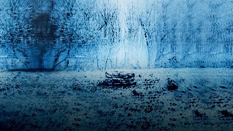 The Ring Cały Film (2002) - Vider