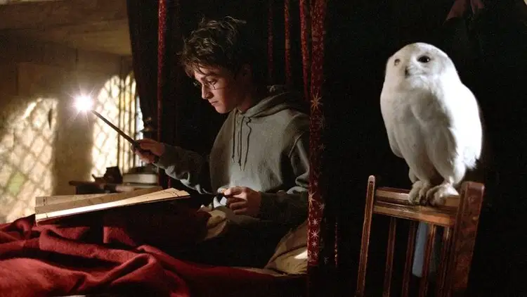 Harry Potter i więzień Azkabanu Cały Film (2004) - Vider