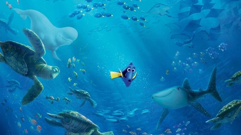 Gdzie jest Dory Cały Film • Vider • Online